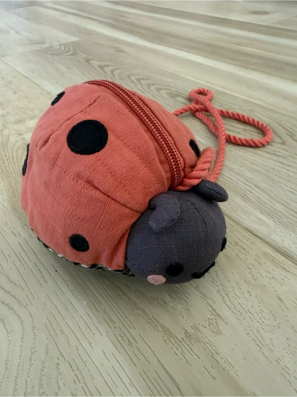 Zara Kids Ladybug Crossbody Bag in Rust and Charcoal